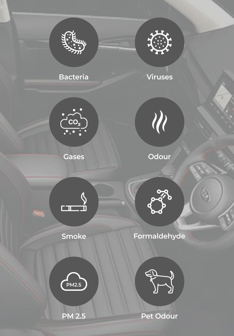 pollutants-in-the-car