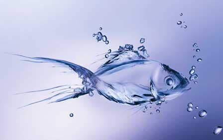 ozone-treatment-for-aquaculture-faraday-ozone-india